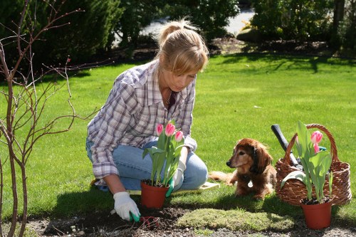 Volunteers and charity partners receiving reusable garden items