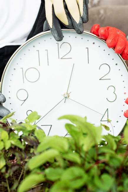A gardener wearing grey gloves with black and yellow accents is holding a round, white clock face, partially obscured by vibrant green foliage in the foreground. The garden features neatly maintained 